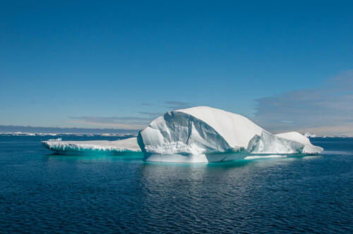 Iceberg Alley • Antarctica
