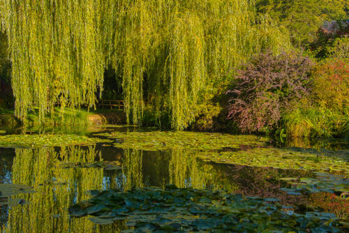 Monet's Garden • France