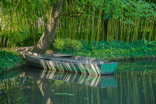 Monet's Pond • France