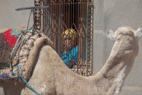 Woman in the Window • Morocco