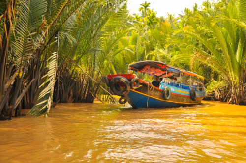 Mekong Delta • Vietnam 