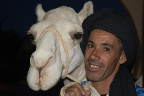 Moroccan and his Camel