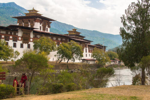 Punakha Dzong • Bhutan