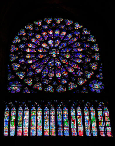 Stained Glass •  Notre Dame Cathedral • Paris