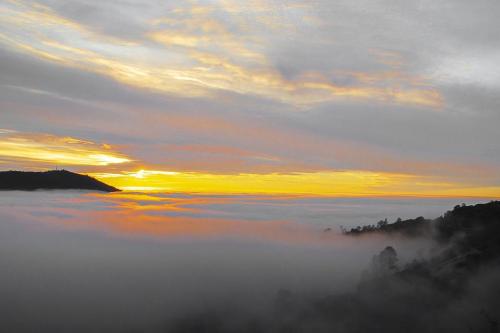  Fog-Covered San Joaquin Valley •California 