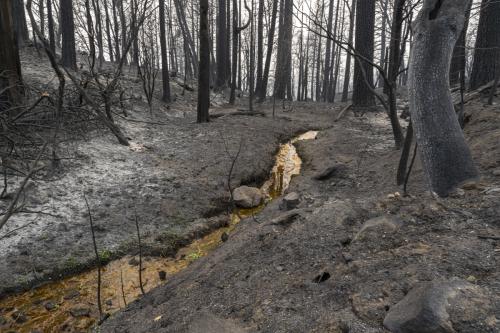  2020 Creek Fire • Cressman's Road • Pineridge • California