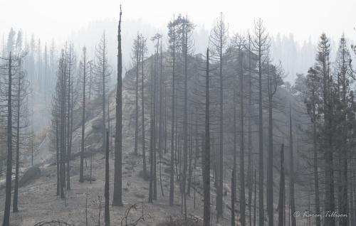  2020 Creek Fire • Stevenson Mountain • Shaver Lake • California